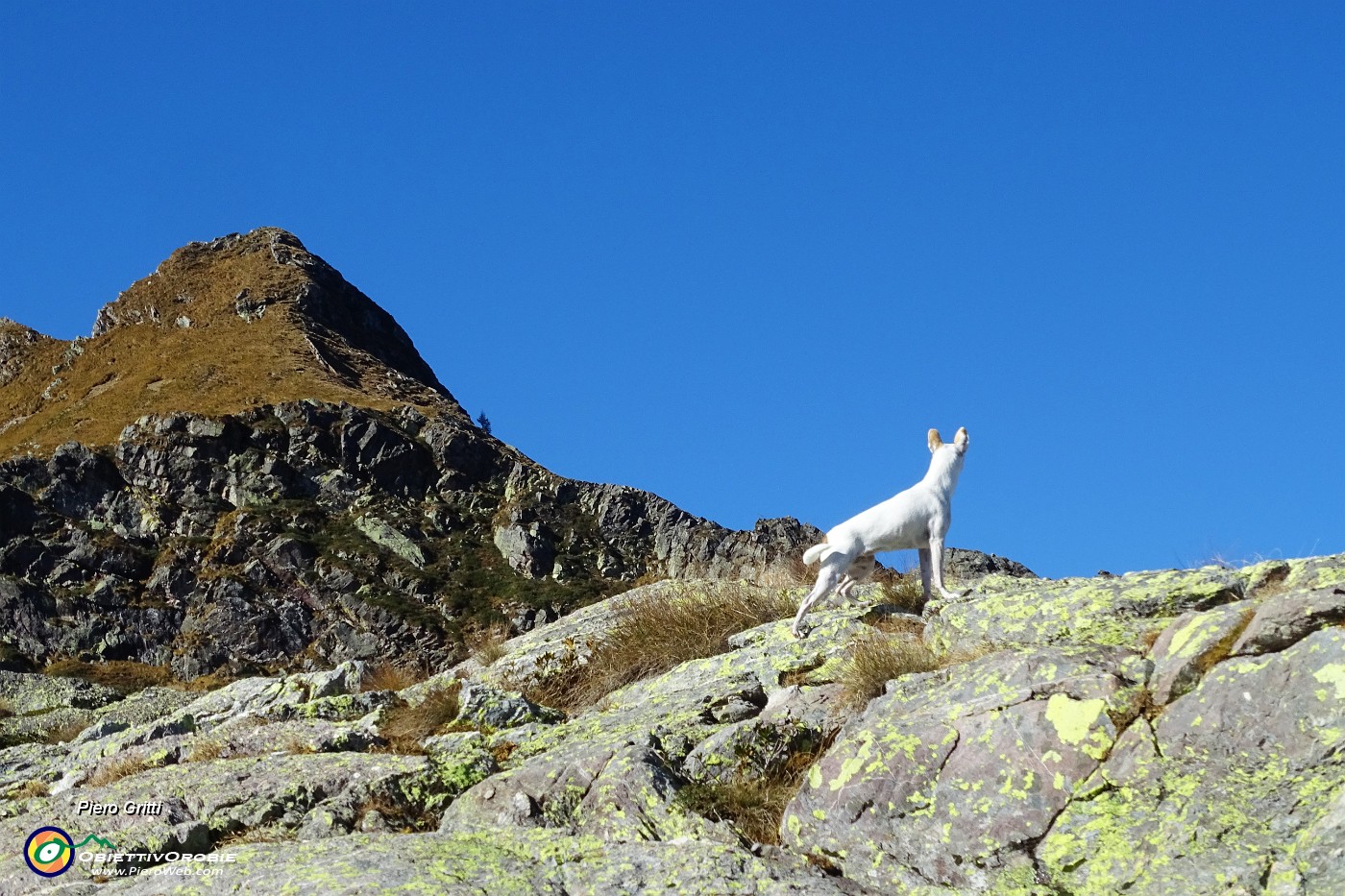 34 Pizzo della nebbia con Stelina.JPG